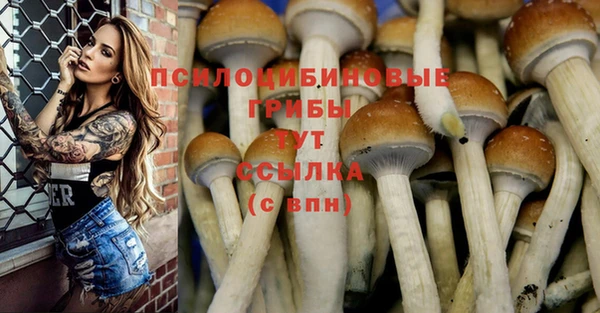 a pvp Магадан