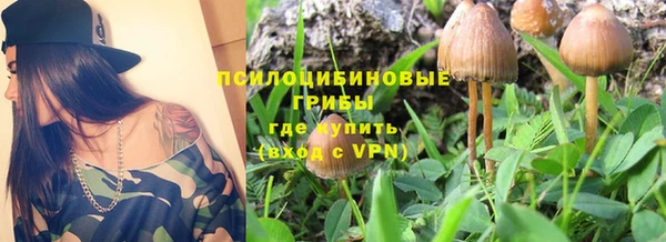 a pvp Магадан