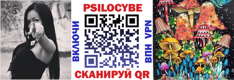 Купить где  Звенигово  Псилоцибиновые грибы GOLDEN TEACHER 